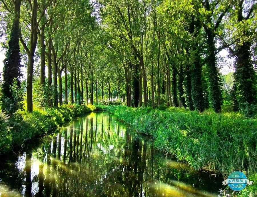 Douves et arbres entourant Damme, Belgique